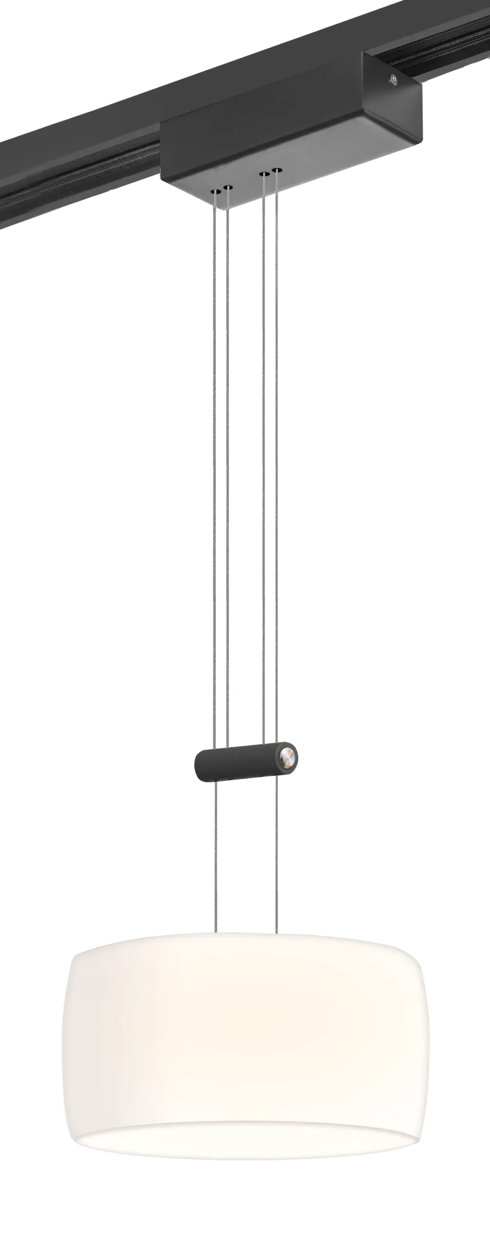 Pendelleuchte Core in Schwarz, am TRIvario System Pendelleuchte Core in Schwarz, am TRIvario System